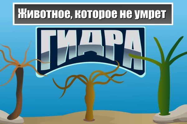 Рабочие зеркала блэкспрут тор