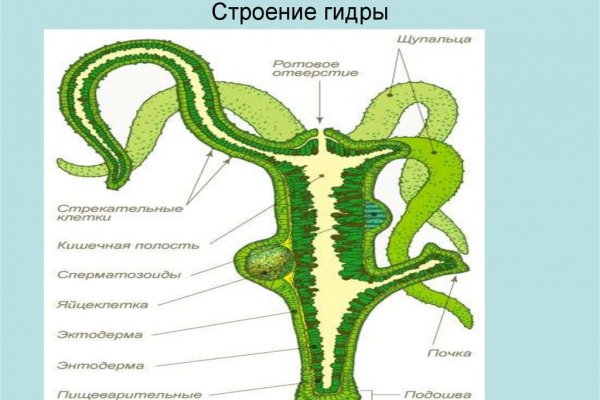 Bs group официальный сайт